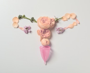 Descrição da Imagem do Tratamento 1